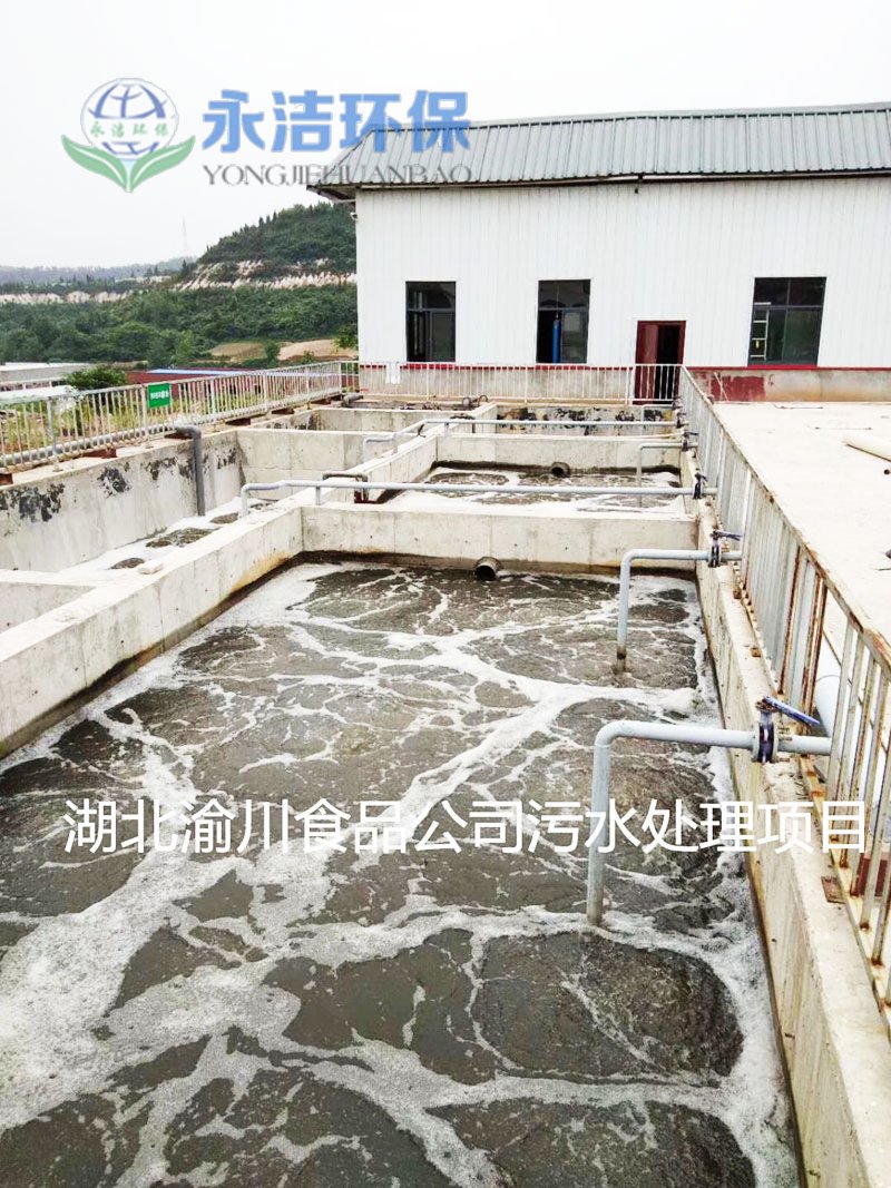 湖北渝川泡菜废水乐动网页版_乐动(中国)